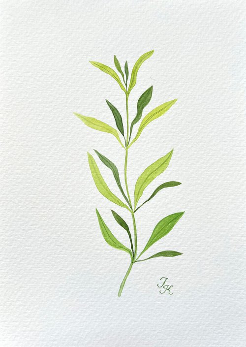 Green branch #4 by Tetiana Kovalova
