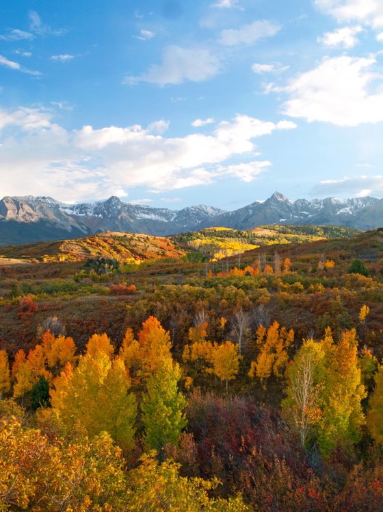 Mount Sneffels Wilderness in Autumn