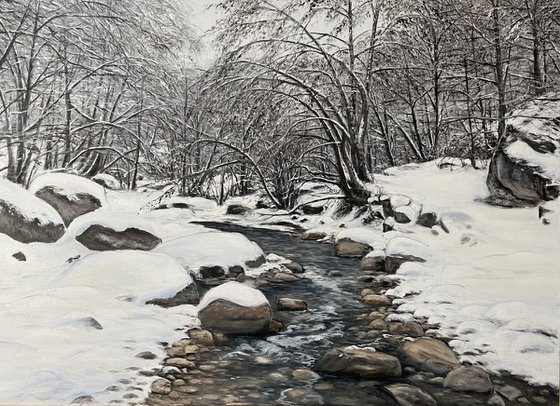 Winter Stillness in Motion