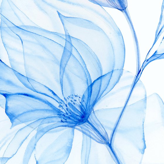 Fragile