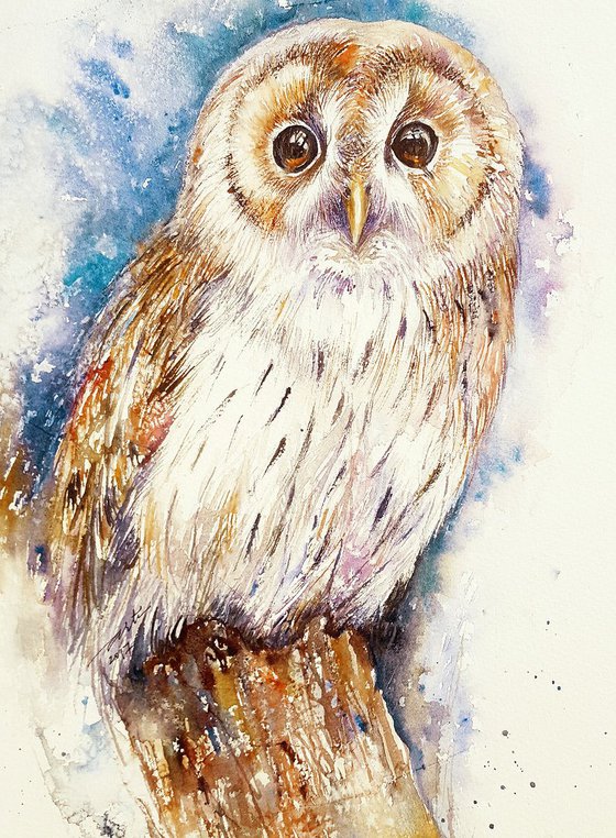 Olga the Tawny Owl