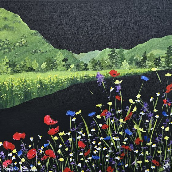 Poppies in Patterdale