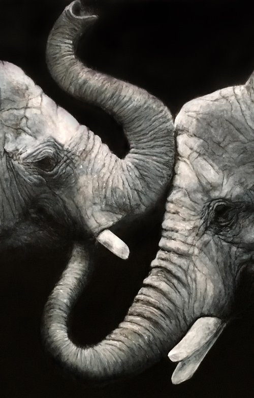 Elephants, blue grey large artwork by Paul Hardern