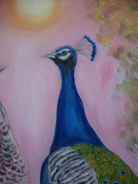 Pair of peacocks