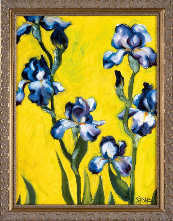 Purple Iris