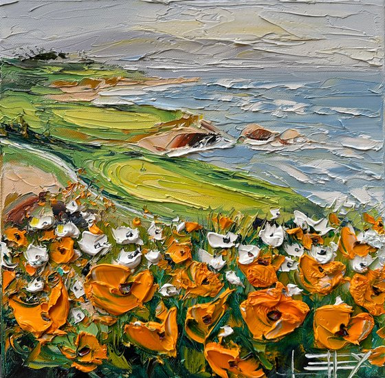 Poppies at Pebble Beach