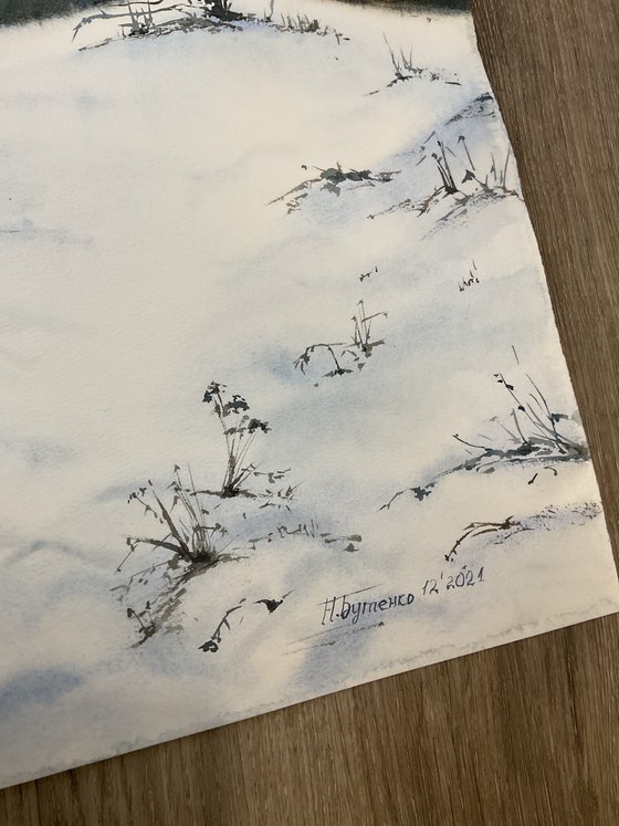 Christmas tree was born in the forest