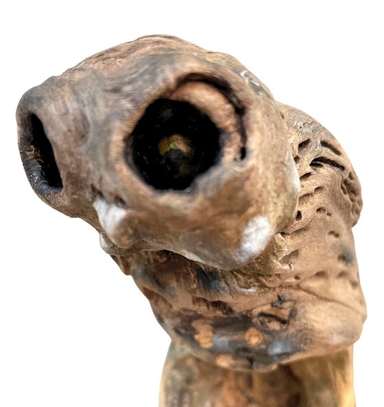 Little owl, Ostréïdes series