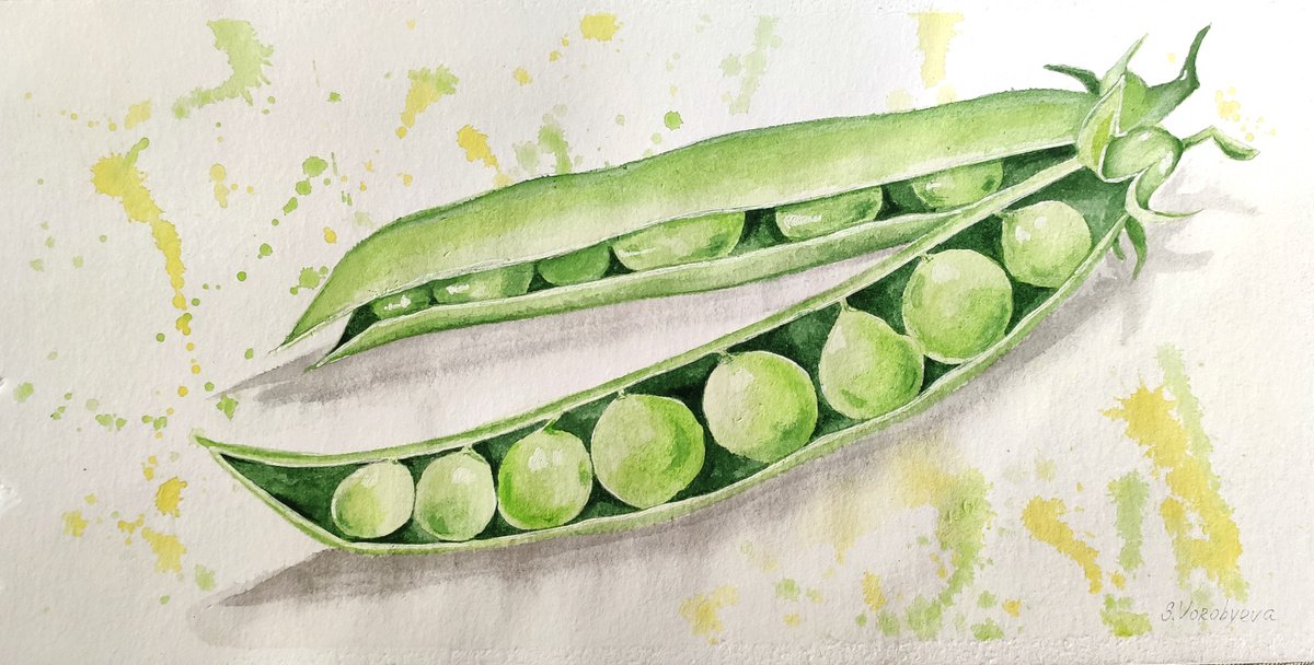 Green peas. Watercolor painting. by Svetlana Vorobyeva