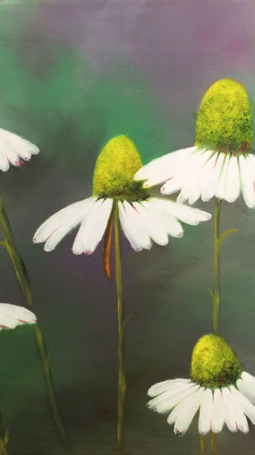 Echinaceas by Silvie Wright