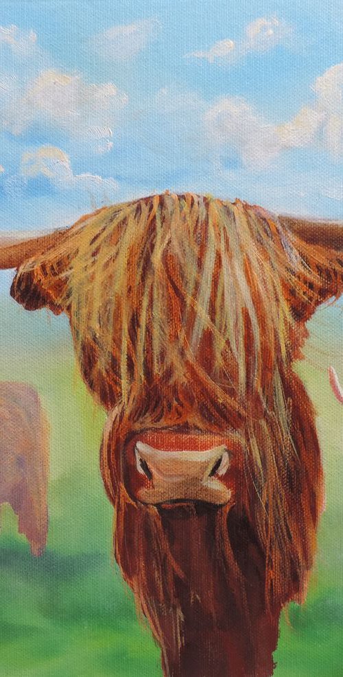 Highland cows by Gordon Bruce