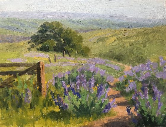 Lupine Path