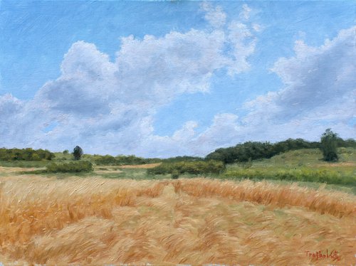 The Wheat Fell by Dejan Trajkovic