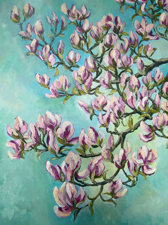 Magnolia in Spring