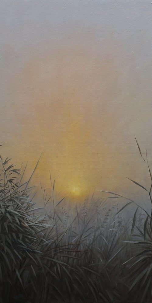 Sunset by Gerard Kramer