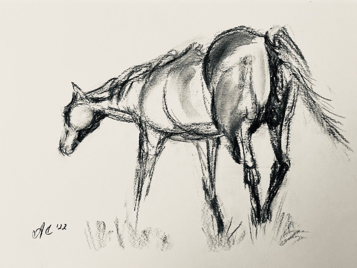 Sketch of Horse by Alla Semenova