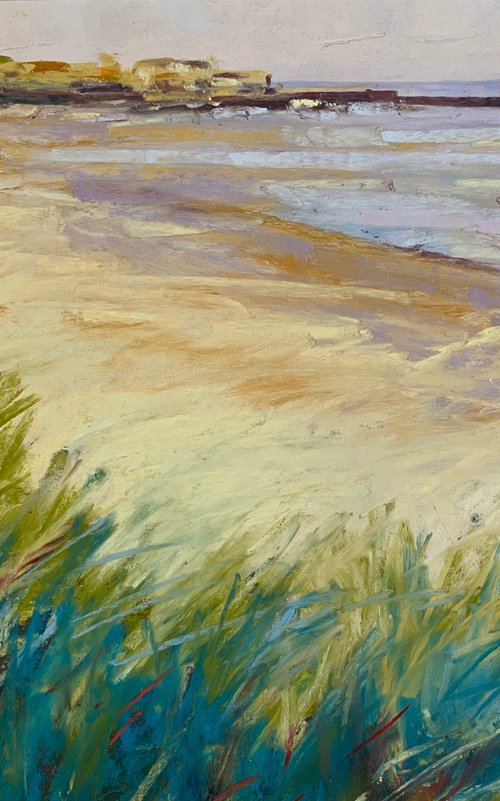 Morning Sun, Northumberland by Andrew Moodie