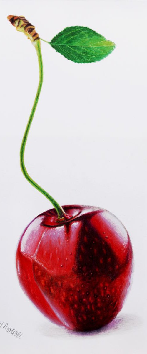 Single Cherry by Dietrich Moravec