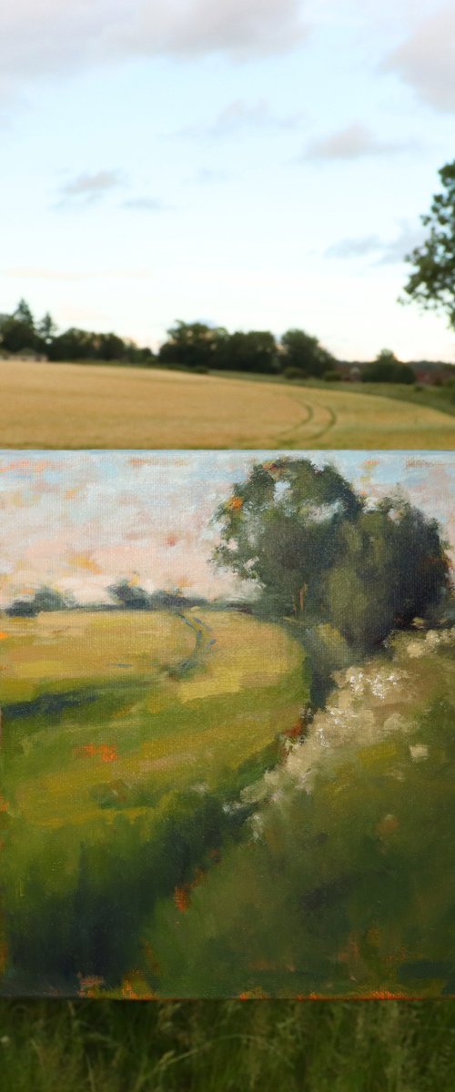 Barnsley Hall Drive by Jade Eynon
