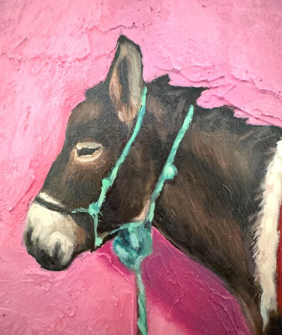 Textured Walls - Donkey