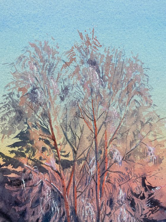 Pink Frost