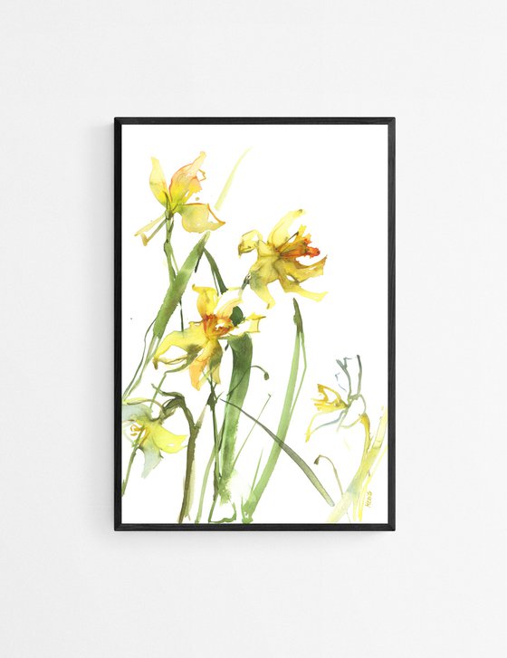 Yellow daffodils - 3