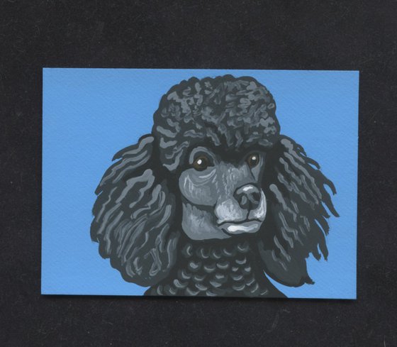 ACEO ATC Original Miniature Painting  Black Poodle Pet Dog Art-Carla Smale