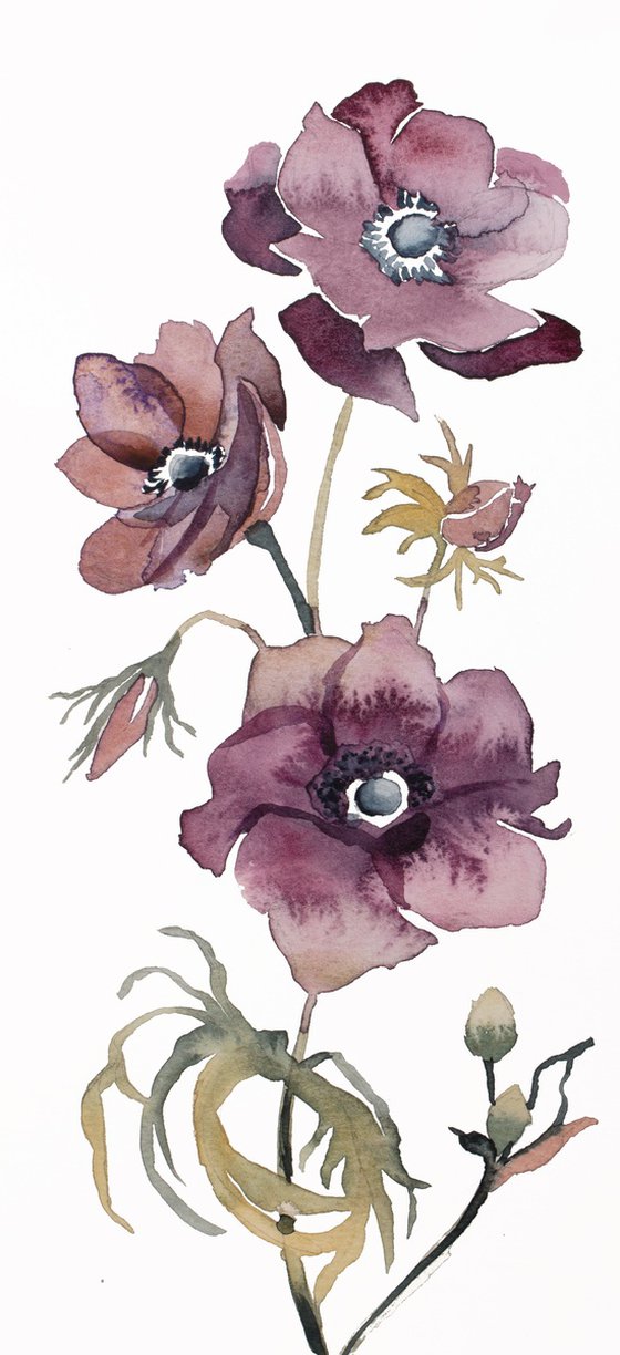 Hellebore No. 35