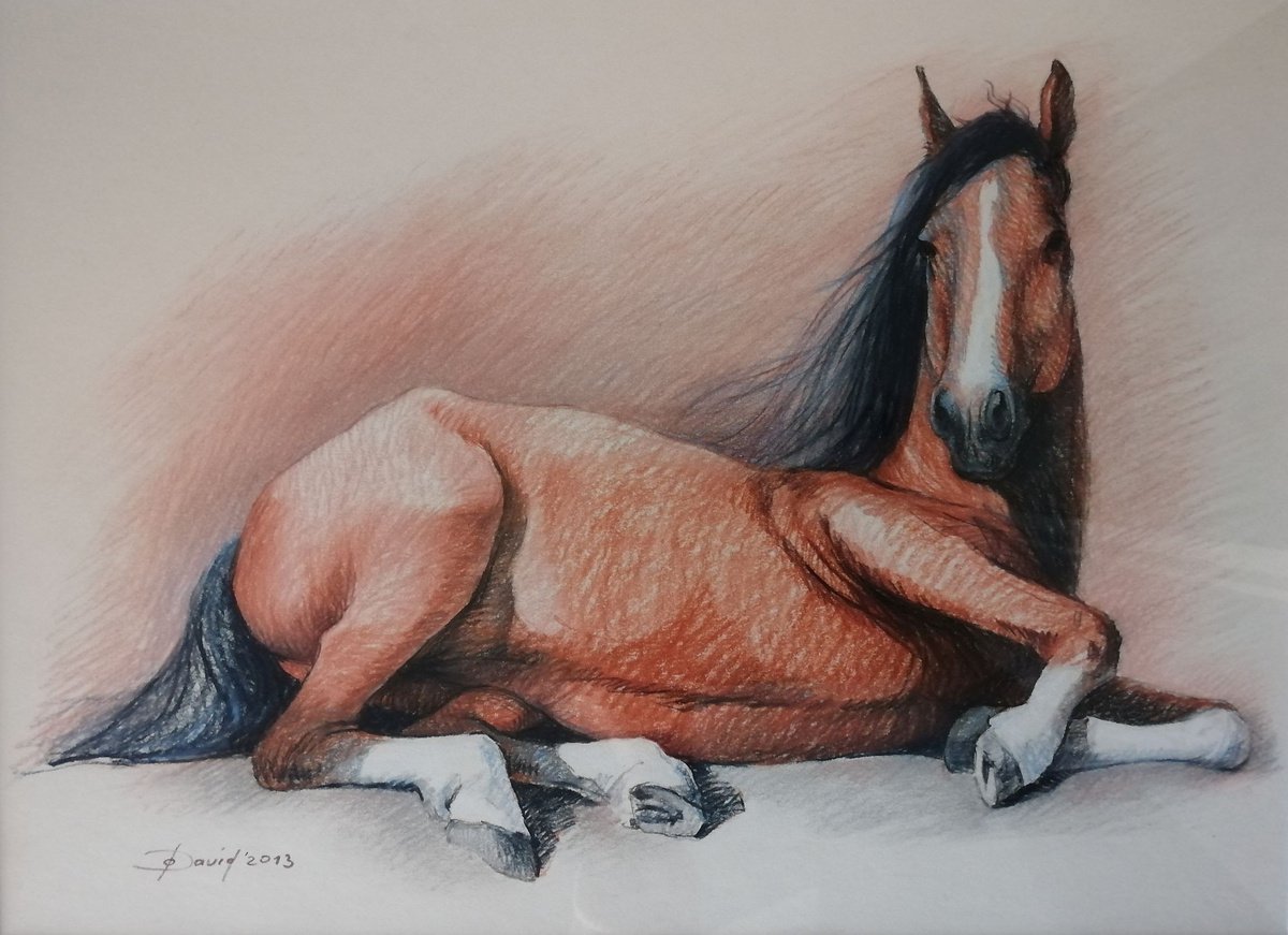 Lying horse by Olga David