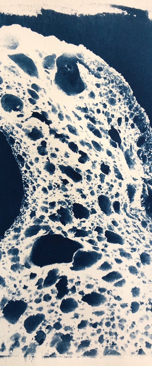 Sourdough II - Cyanotype Print by Georgia Merton