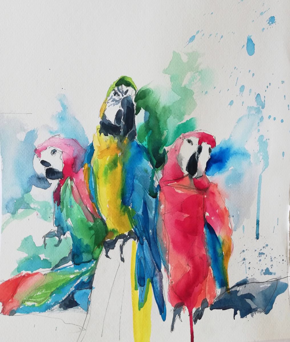 Colorful Group by Jelena Djokic
