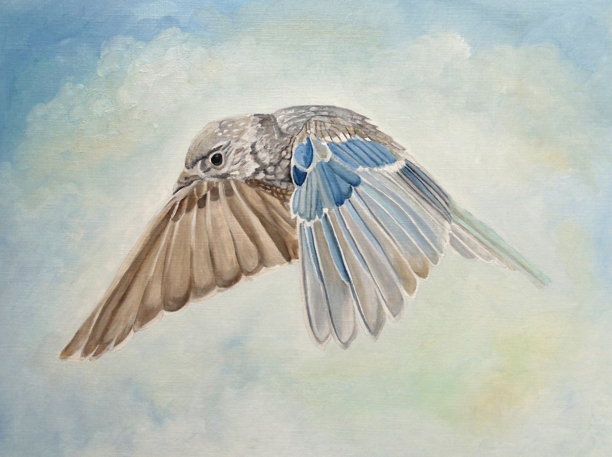 Impressionistic Animal Oil Painting By Angeles M. Pomata, 13 X 10, Soaring Quicksilver, Original Artwork