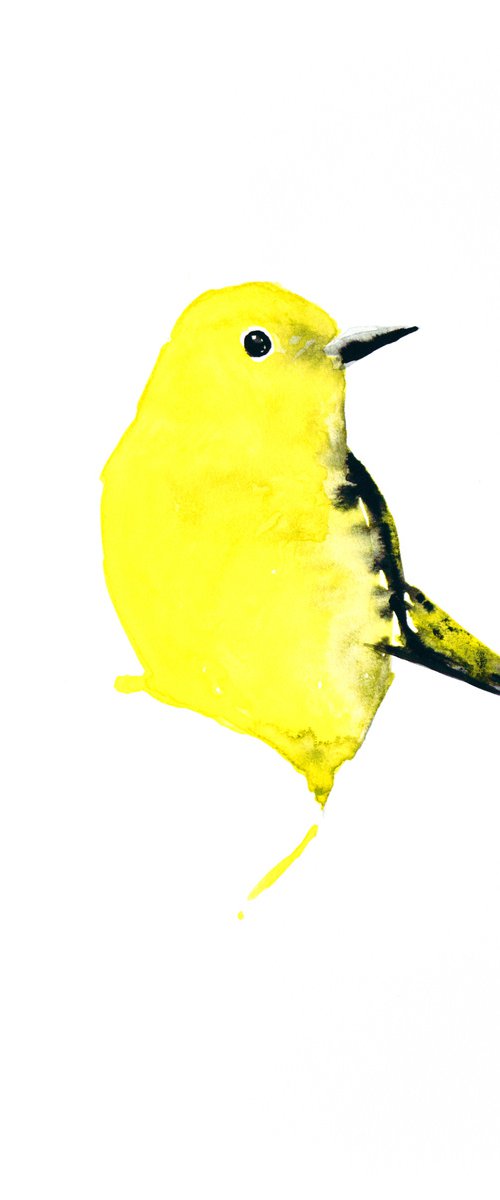Bird by Nadia Moniatis
