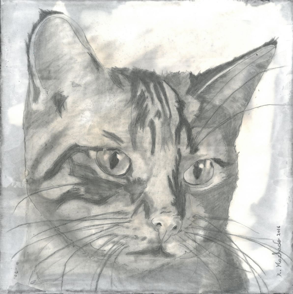 Cat | Animal Painting by Ricardo Machado