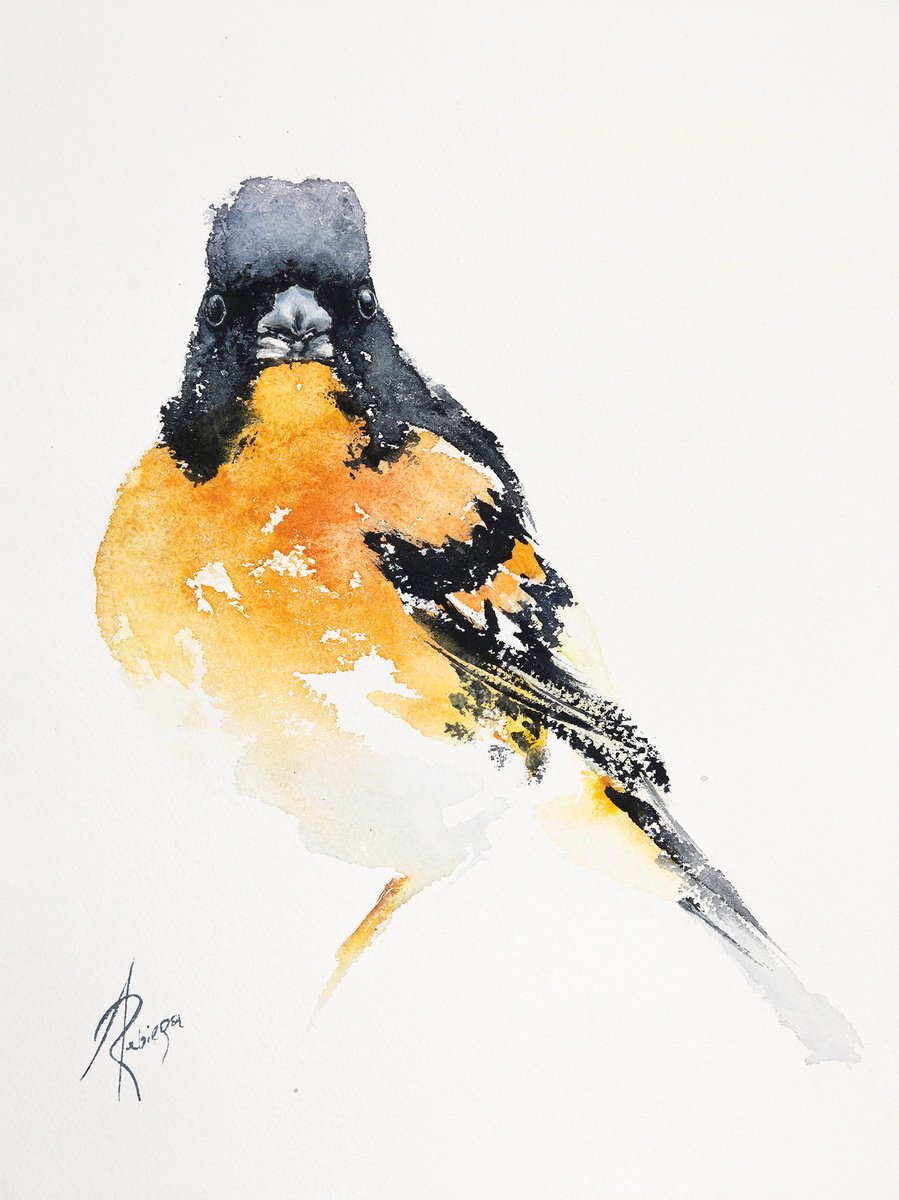 Abstract Animal Watercolour By Andrzej Rabiega, 9 X 12, Brambling, Original Artwork