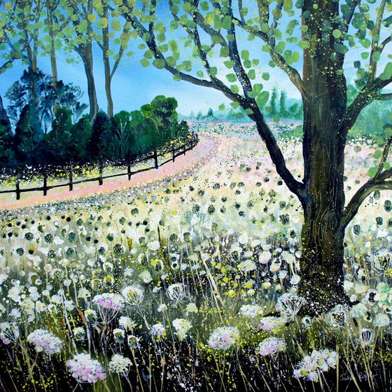 Field of Cow Parlsey