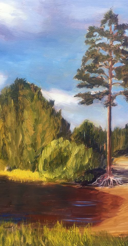 Pastors lake pine by Elena Sokolova