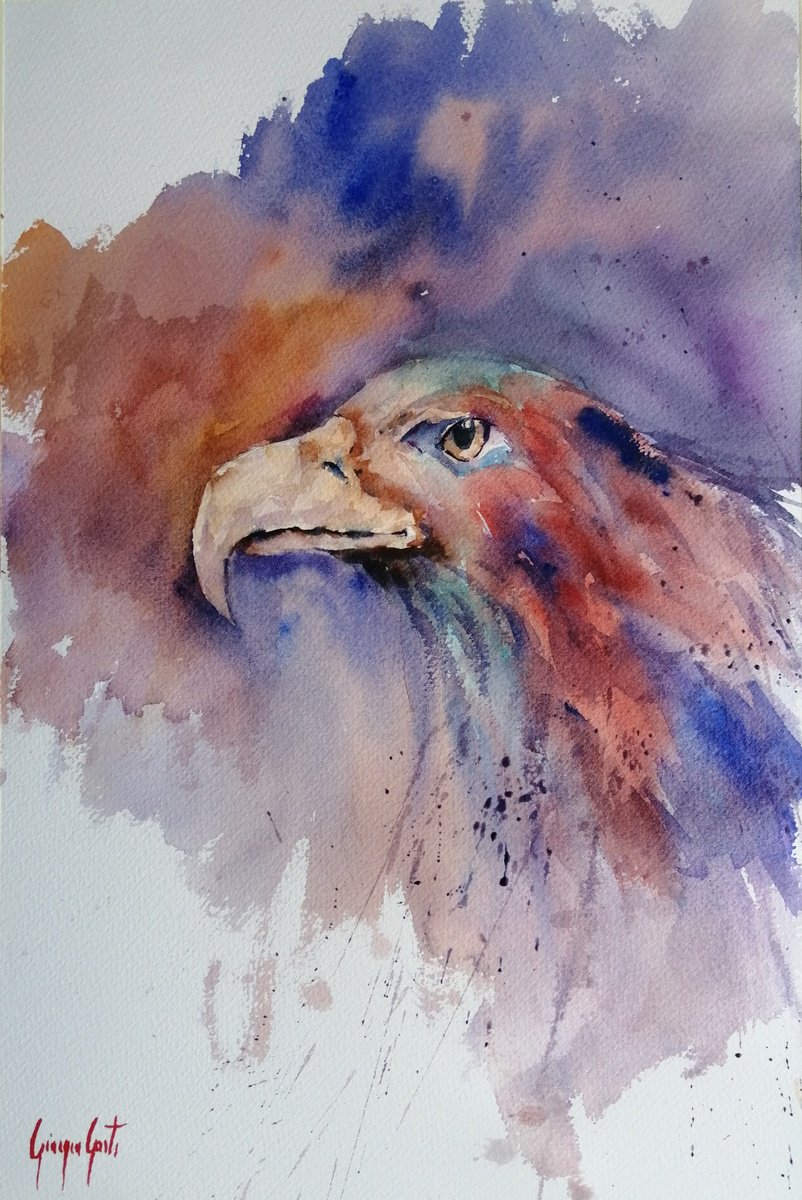 Impressionistic Watercolour , Eagle 6 By Giorgio Gosti, 14 X 21, Artwork For Sale On Artfinder