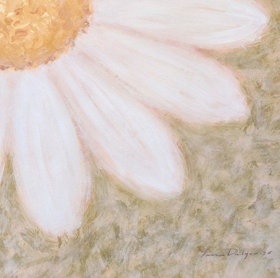 "Portrait of a Daisy" (Trust Series)