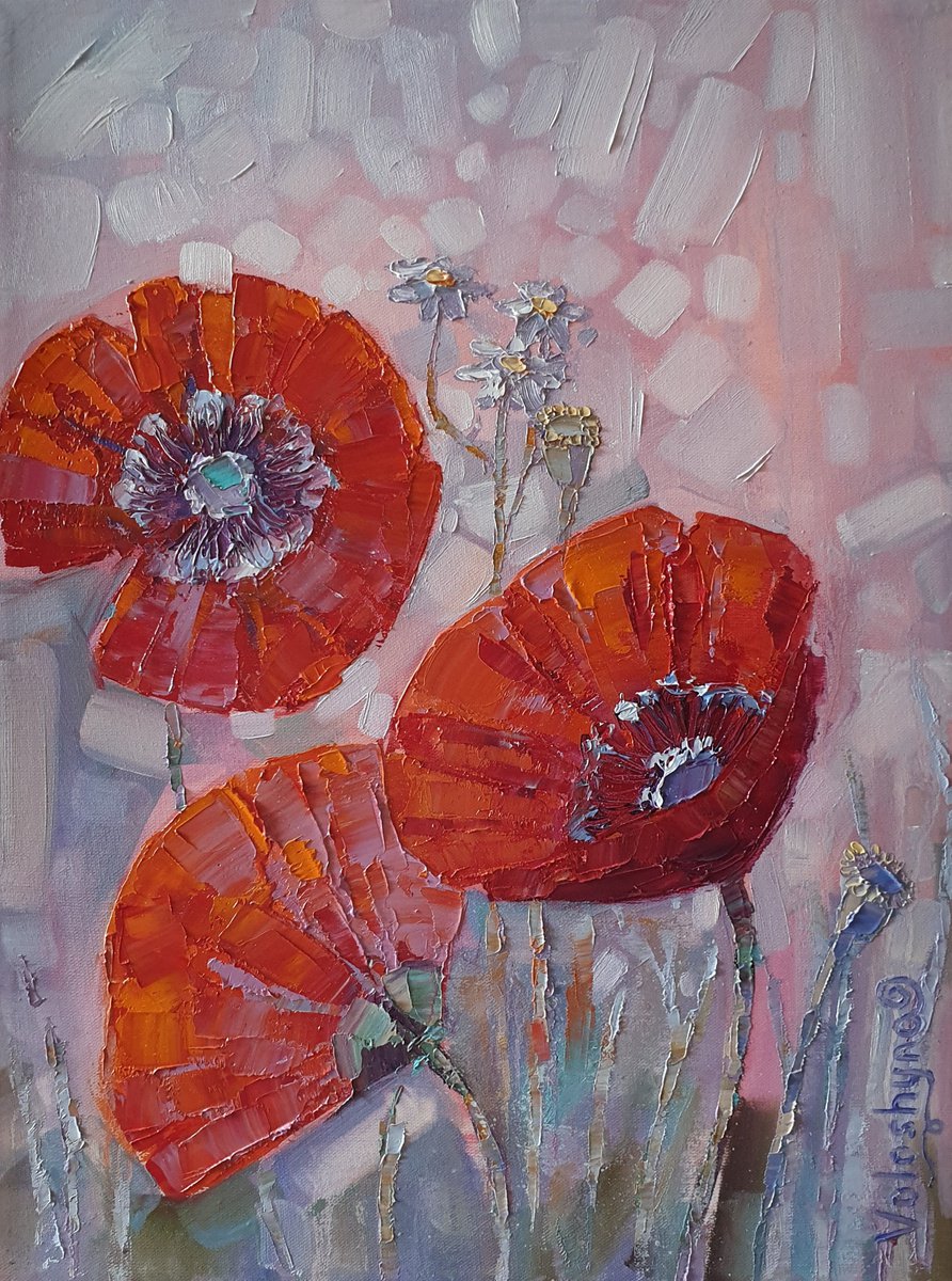 Poppies and daisies by Mary Voloshyna