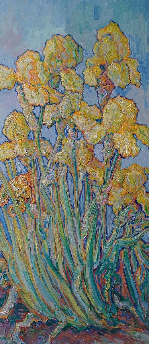 Impressionistic Botanical Oil Painting By Nigel Dickerson, 19 X 41", Yellow Bearded Irisis, Original Artwork