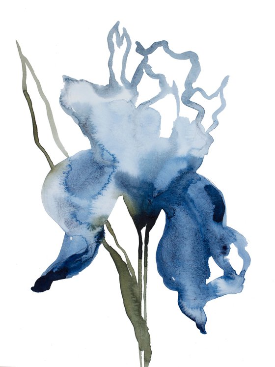 Iris No. 132