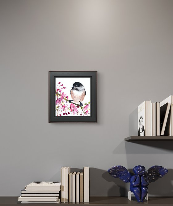 Black-capped chickadee Blossom