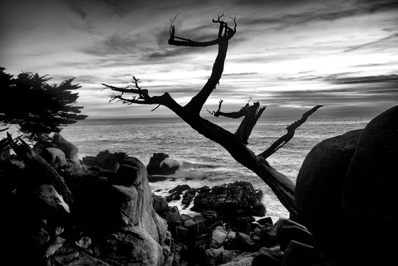 Spanish Bay - Pebble Beach California