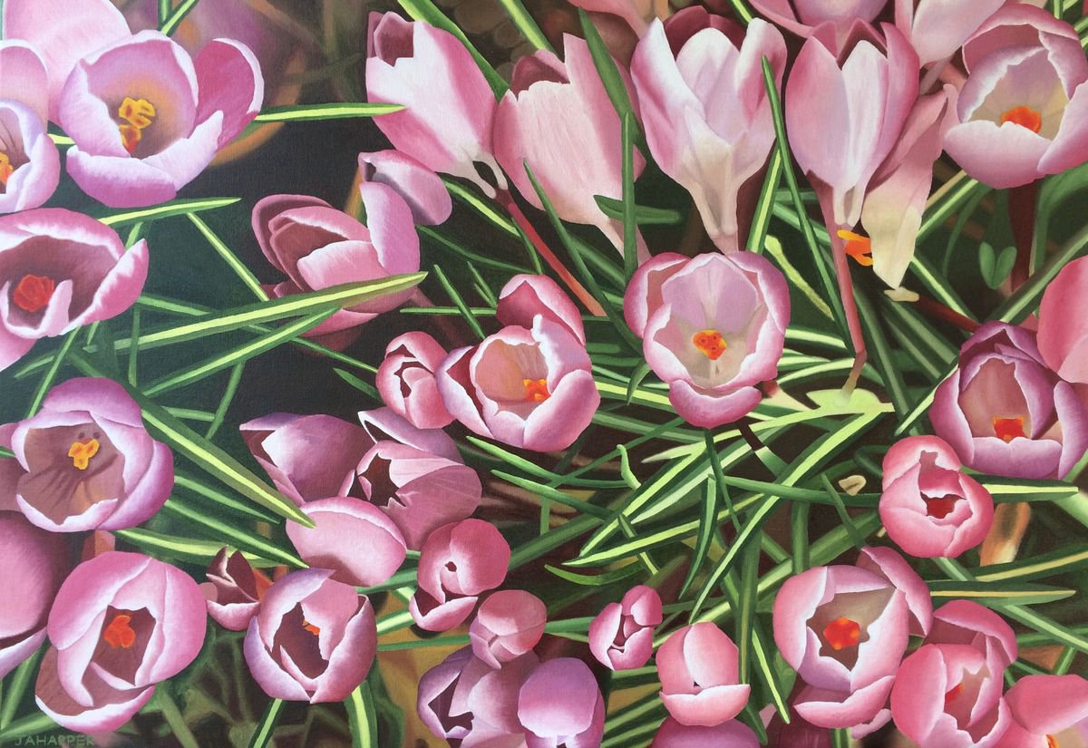 Photorealistic Botanical Oil Painting By Jill Ann Harper, 28 X 20, Crocuses, Original Artwork