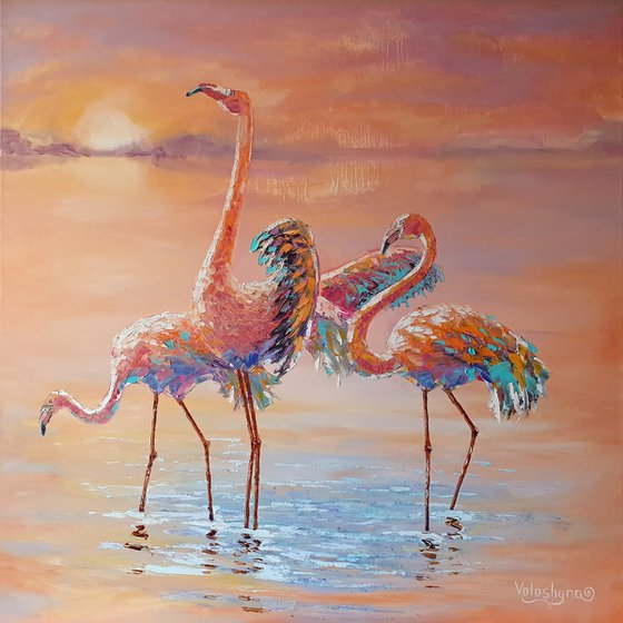 Flamingos