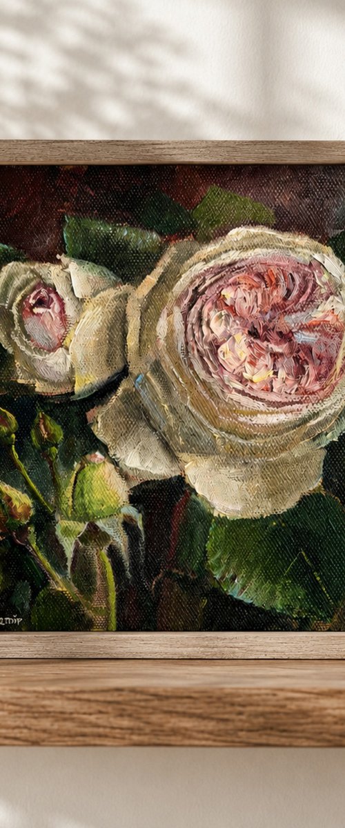 Pink roses still life by Leyla Demir