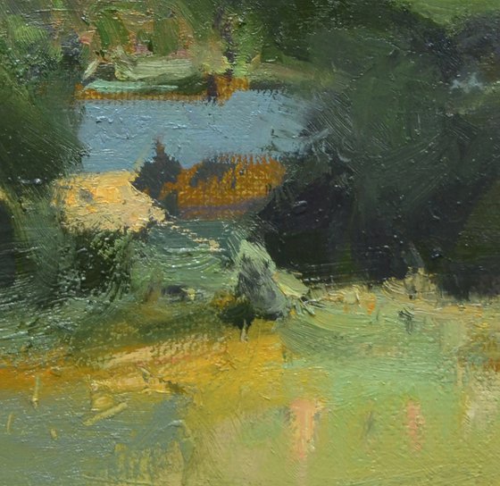 Summer Reflections