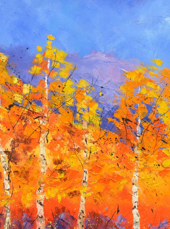 Aspentrees in autumn