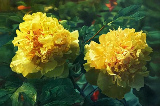 Realism Oil painting:Beautiful flowers c188